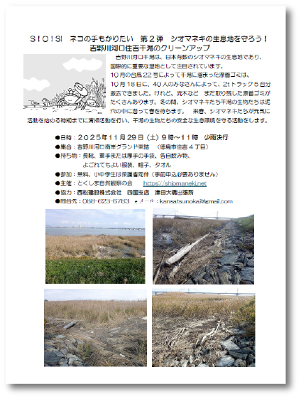 第2弾 吉野川河口干潟のクリーンアップ