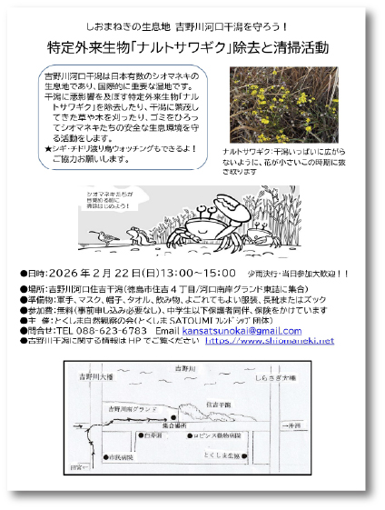 吉野川河口干潟のクリーンアップ