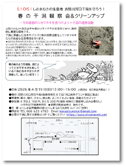 吉野川河口干潟のクリーンアップ