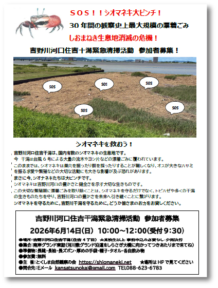吉野川河口住吉干潟緊急清掃活動