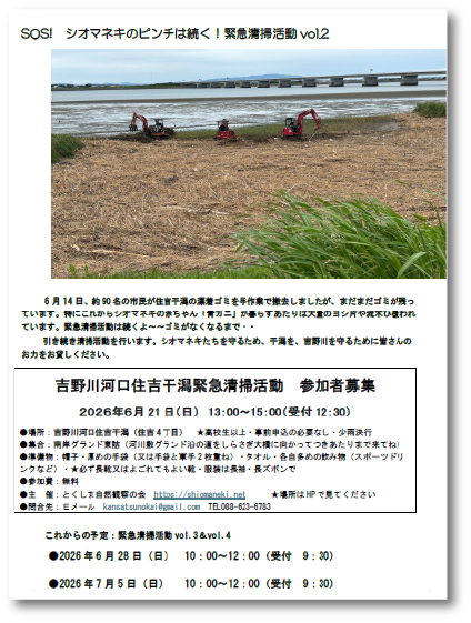 吉野川河口住吉干潟緊急清掃活動