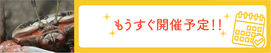 2019 >
  <br clear=